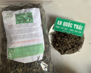 Chè vằng có tác dụng giảm cân, lợi sữa?  Chè vằng sẻ mua ở đâu uy tín?