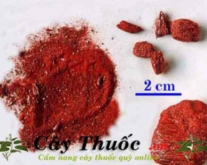 Chu sa, thần sa là vị thuốc gì, dùng chữa bệnh gì