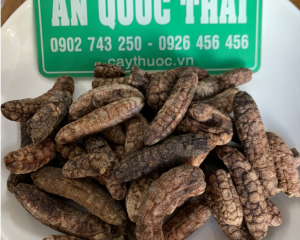 Chuối hột rừng có tác dụng chữa bệnh gì? Địa chỉ bán chuối hột rừng?