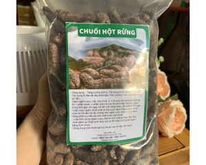 Chuối hột rừng có tác dụng chữa bệnh gì? Địa chỉ bán chuối hột rừng?