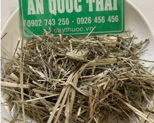 Cỏ mần trầu có tác dụng gì? Công dụng, cách sử dụng, mua ở đâu?