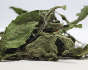 Cỏ ngọt có tác dụng gì? Uống trà cây cỏ ngọt có tốt không?