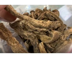 Củ bình vôi: Hình ảnh, nhận biết, tác dụng chữa bệnh mất ngủ thần kỳ.