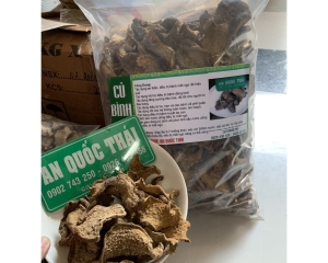 Củ bình vôi: Hình ảnh, nhận biết, tác dụng chữa bệnh mất ngủ thần kỳ.