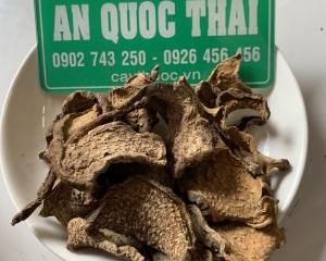 Củ bình vôi: Hình ảnh, nhận biết, tác dụng chữa bệnh mất ngủ thần kỳ.