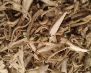 Củ đinh lăng ( rễ đinh lăng ) ngâm rượu chữa bệnh gì? Mua ở đâu?