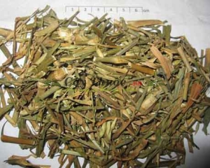 Cù mạch tác dụng chữa bệnh và cách sử dụng vị thuốc lợi tiểu cù mạch.