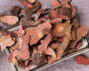 Công dụng của củ nâu, cách dùng, ngâm rượu, địa chỉ mua