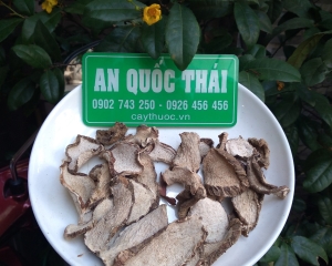 Củ ráy có tác dụng chữa bệnh gì? Hình ảnh, cách chế biến, ngâm rượu.