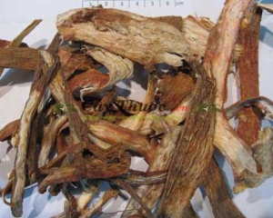 Đan sâm có tác dụng gì? Giá bán bao nhiêu? Mua ở đâu uy tín nhất.