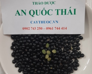 ĐẬU ĐEN XANH LÒNG [TÁC DỤNG, CÁCH NẤU NƯỚC, CÁCH UỐNG NƯỚC] TRỊ BỆNH.