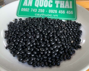 ĐẬU ĐEN XANH LÒNG [TÁC DỤNG, CÁCH NẤU NƯỚC, CÁCH UỐNG NƯỚC] TRỊ BỆNH.