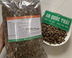 Dây cóc (dây ký ninh) và công dụng chữa bệnh thần kỳ của cây dây cóc