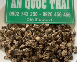 Dây cóc (dây ký ninh) và công dụng chữa bệnh thần kỳ của cây dây cóc