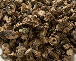 Dây cóc (dây ký ninh) và công dụng chữa bệnh thần kỳ của cây dây cóc