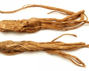 Địa chỉ bán Đương quy uy tín tai tp hcm