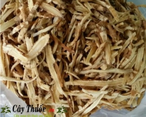 địa chỉ bán sa sâm uy tín tại TP HCM địa chỉ bán sa sâm uy tín tại TP HCM