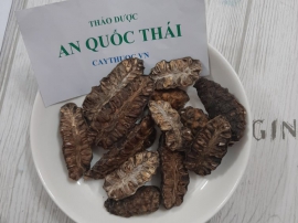 Trái nhàu (quả nhàu) bán ở đâu uy tín chất lượng nhất?