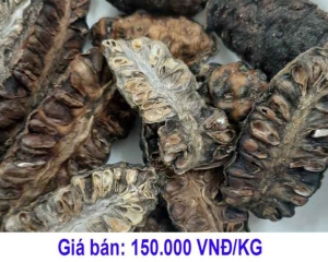 Trái nhàu (quả nhàu) bán ở đâu uy tín chất lượng nhất?