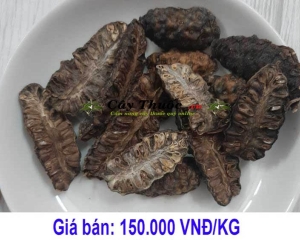 Trái nhàu (quả nhàu) bán ở đâu uy tín chất lượng nhất?