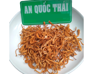 Đông trùng hạ thảo có tác dụng gì? Cách dùng và mua ở đâu tốt.