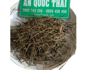 Giảo cổ lam có tác dụng trị bệnh gì? Cách sử dụng trà giảo cổ lam khô.