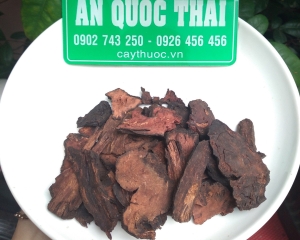 Tác dụng của hà thủ ô ngâm rượu là gì? Cách chế biến chữa tóc bạc sớm.