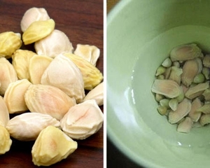 Hạt bưởi với tác dụng từ tinh chất nhầy chữa đau dạ dày và làm đẹp.