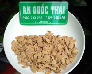 Hạt bưởi với tác dụng từ tinh chất nhầy chữa đau dạ dày và làm đẹp.