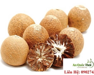 Hạt cau (Binh lang) có công dụng gì? Được dùng điều trị bệnh gì?