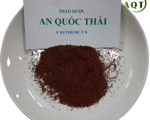 Hạt đình lịch, cách đắp hạt đình lịch trị mụn nhọt, hút mụn mủ