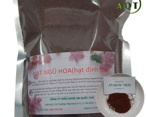 Hạt đình lịch, cách đắp hạt đình lịch trị mụn nhọt, hút mụn mủ