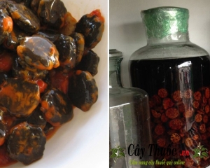 Hạt gấc có tác dụng chữa bệnh gì? Dùng làm gì? Mua hạt gấc ở đâu TPHCM