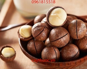 Hạt mắc ca là gì? Giá bán, công dụng, cách ăn, cách chế biến hạt mắc ca