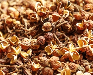 Hạt mắc khén là gì? Dùng làm gì? Mua hạt mắc khén ở TPHCM? Giá bán?