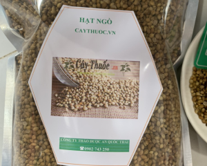 Hạt ngò là hạt gì? Dùng làm gì? Có tác dụng gì cho sức khỏe? Mua ở đâu