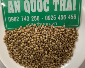 Hạt ngò là hạt gì? Dùng làm gì? Có tác dụng gì cho sức khỏe? Mua ở đâu