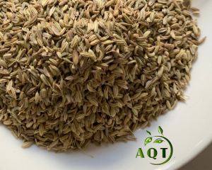 Hạt thì là và những tác dụng chữa bệnh tuyệt vời mà bạn chưa biết