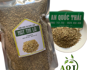 Hạt thì là và những tác dụng chữa bệnh tuyệt vời mà bạn chưa biết