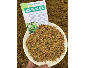 Hoa đu đủ đực tác dụng trong việc phòng ngừa hỗ trợ điều trị ung thư.