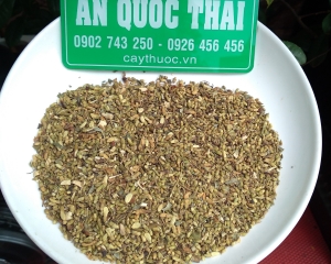 Hoa hòe [tác dụng, cách uống trà] thần dược chữa bệnh huyết áp cao.