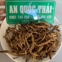 Hoa kim châm giúp tăng tiểu cầu, bạch cầu, tắc sữa thần kỳ.