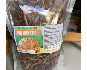 Hoa kim châm giúp tăng tiểu cầu, bạch cầu, tắc sữa thần kỳ.