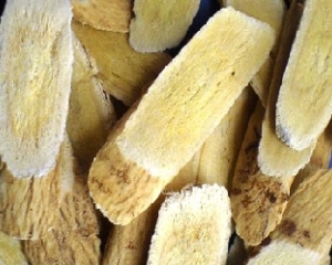 Hoàng kỳ có tác dụng gì? Mua ở đâu, giá bán cây hoàng kỳ bao nhiêu?