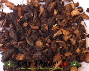 Hương phụ [tác dụng, cách dùng] thần dược chữa bệnh phụ nữ.