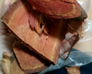 Cây huyết rồng có tác dụng gì? Cách dùng cây huyết rồng ngâm rượu