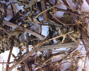 Hy thiêm tác dụng chữa bệnh gì? Địa chỉ bán cây hy thiên khô TP HCM?