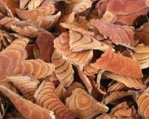 Kê huyết đằng: Hình ảnh, tác dụng, cách dùng, ngâm rượu chữa bệnh