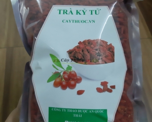 Kỷ tử: Cách sử dụng, tác dụng của hạt câu kỷ tử. Mua ở đâu tại TP HCM?