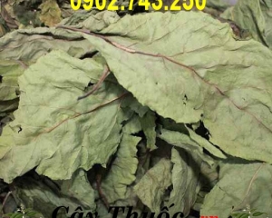 Lá dâu tằm chữa mất ngủ không? Uống nước lá dâu tằm có tác dụng gì?